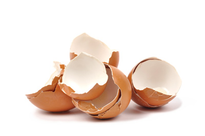 Eggs Two Ways: Egg Shells Keep Slugs Away While Egg Membranes Lift Out Splinters Image
